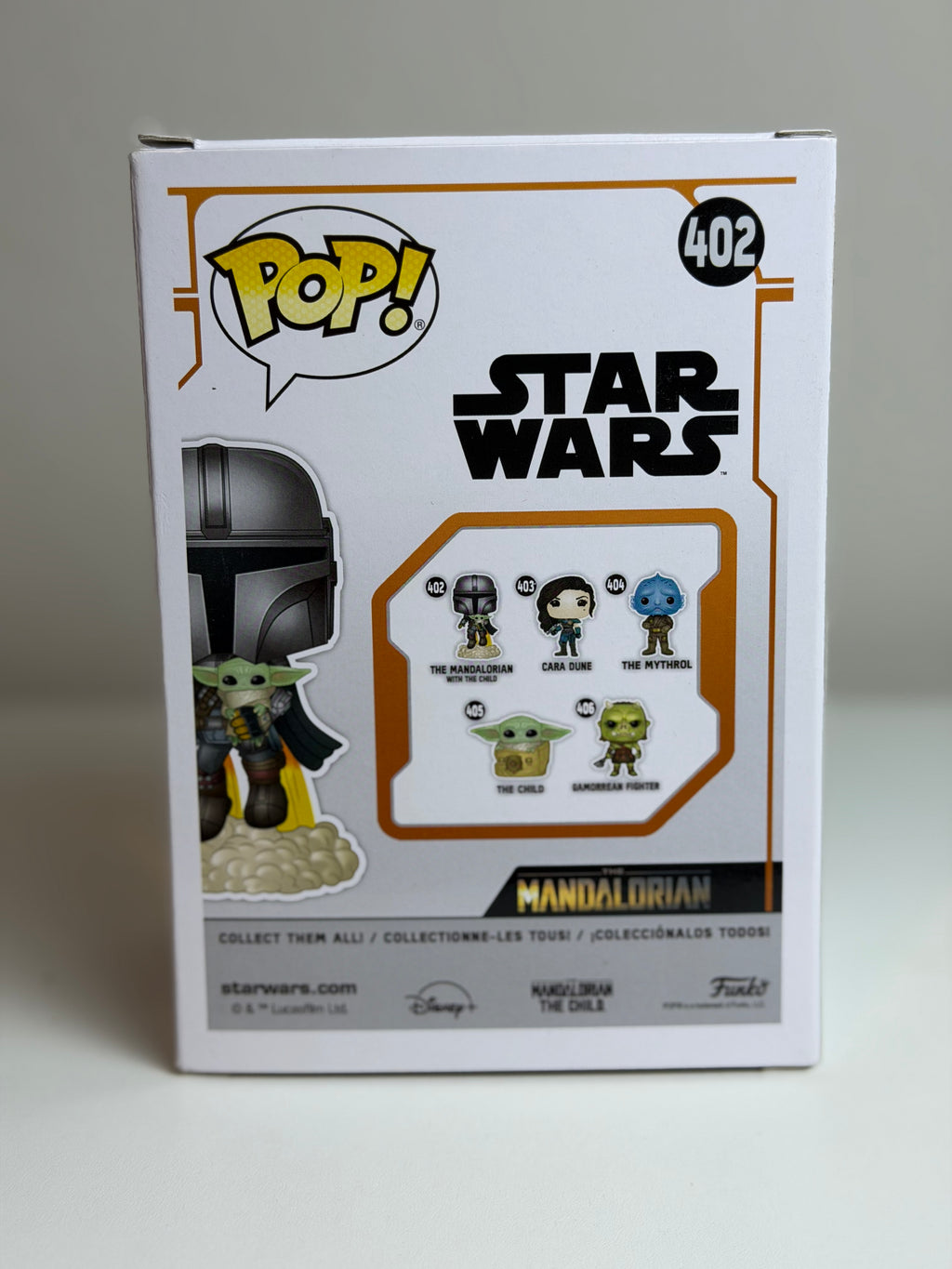 The Mandalorian with the Child