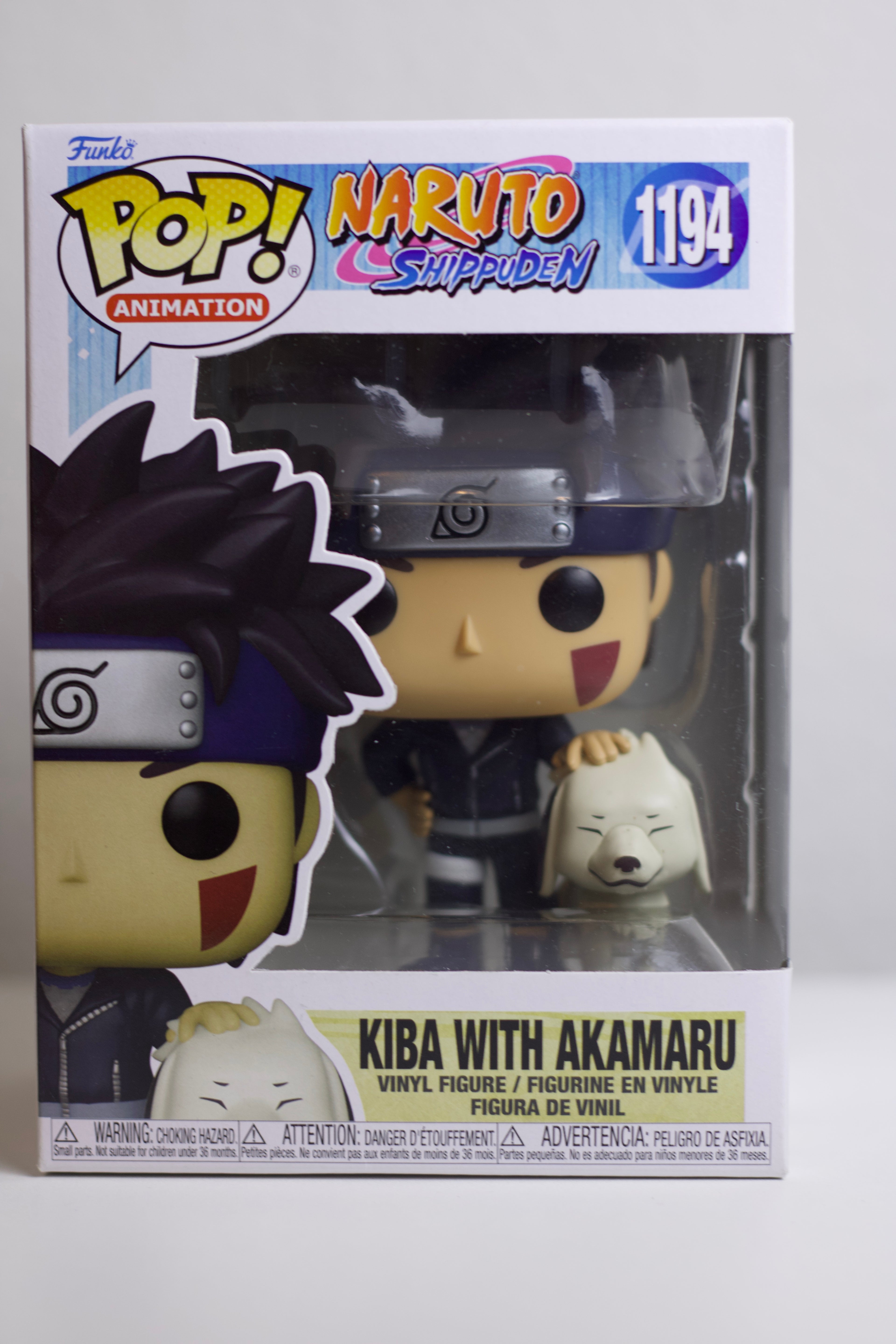 Kiba with Akamaru